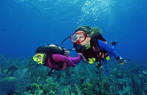 Scuba Diving Tour From Alanya - Side - Antalya