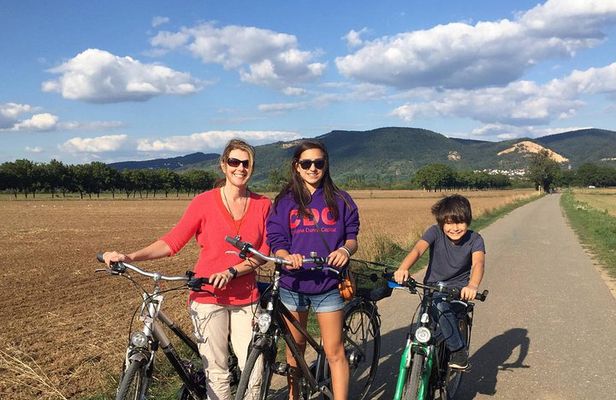 Bicycle Tour from Heidelberg to quaint Ladenburg.