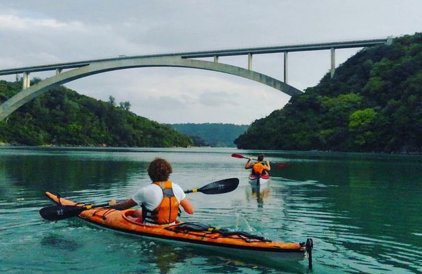 Kayak Mangroves or Coral Reef: private tour in north Okinawa