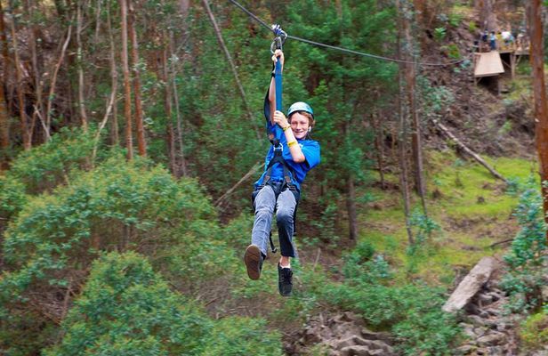 Haleakala 6 Line Zipline Adventure