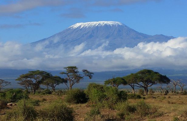 Kilimanjaro Northern Circult