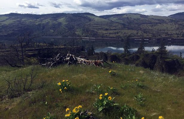 Full-day Columbia Gorge Hiking