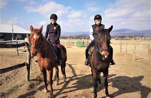 Private Horse Riding near Budapest with transport