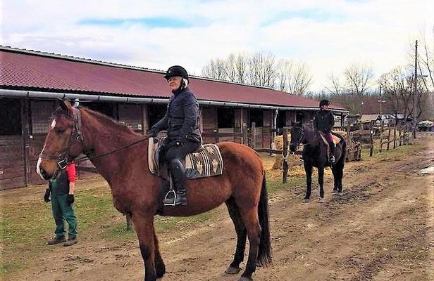 Private Horse Riding in the countryside and lunch with transport