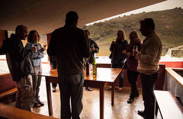 Half day to Bandama Caldera, Botanical experience & Wine-Tasting