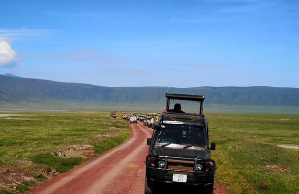 2 days Safari to Lake Manyara and Ngorongoro crater