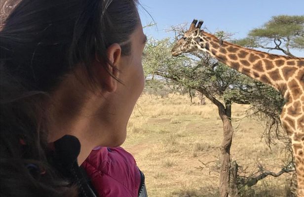 3 days Safari to Tarangire ,Lake Manyara and Ngorongoro crater