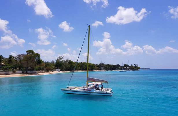 Shasa private catamran sailing cruise, Snorkel with turtles. 