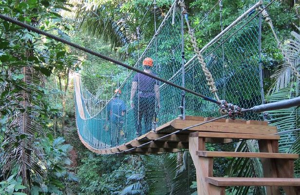 Zipline & Waterfall Rappelling at Antelope Falls 