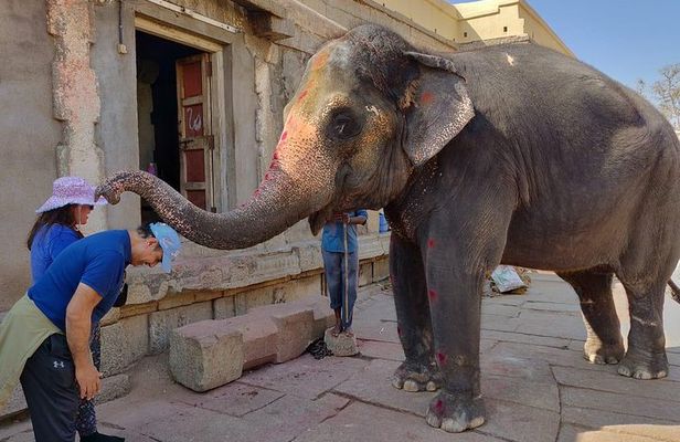 Private guided tour of must visit places in Karnataka in a week