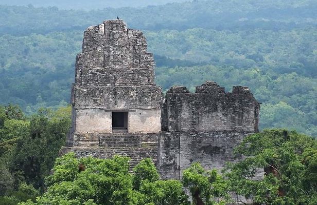 Tikal Mayan Adventure - 1 Day Tour
