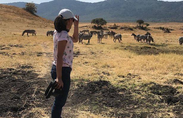 4 days Safari Lake Manyara, Ngorongoro crater and Serengeti