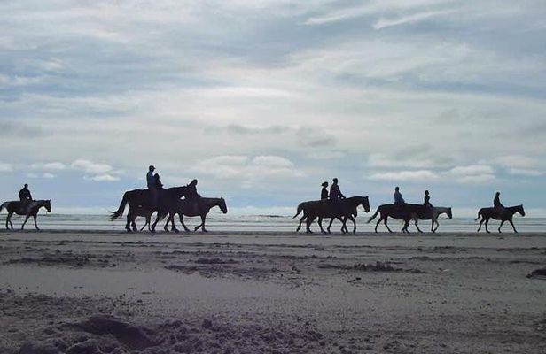 Las cañadas ecopark and horseback riding private tour