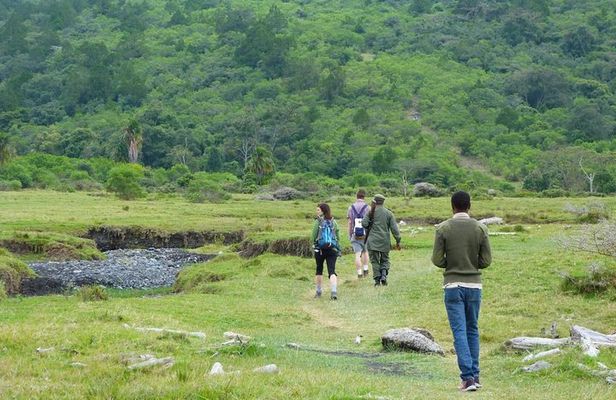 The Amaizing Private Day Trip to the lovely Arusha National Park