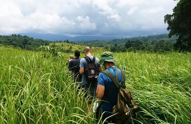 Haew Suwat Waterfall-Jungle Hiking to KM 33 Nong Pak Chi
