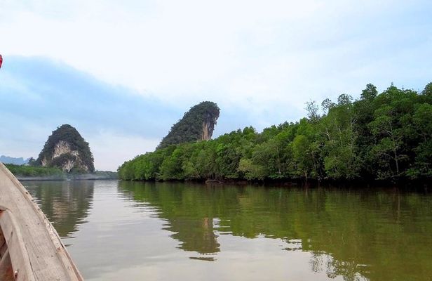 Mangrove Boat Tour in Krabi