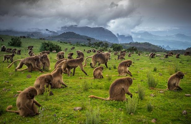 Hiking to the simien mountains