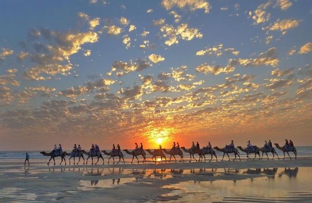 1 Hour Broome Sunset Camel Tour