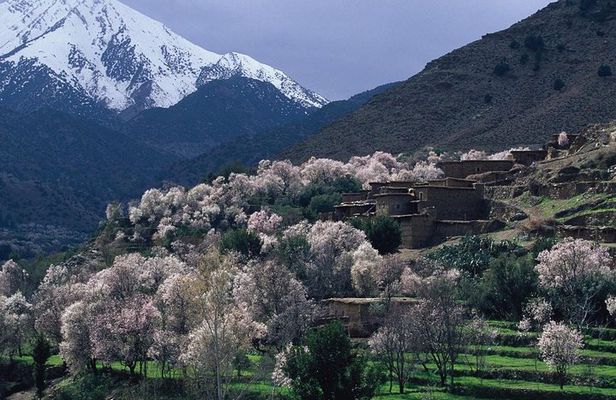 Atlas Mts. +Three Valleys Day Trip from Marrakech (Min. 2 P)