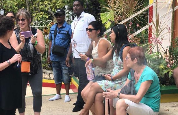 Private & Customize Tour to Bob Marley's Nine Mile and Dunn's River Falls