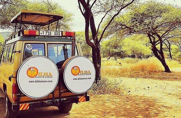 5 days Safari to Tarangire, Ngorongoro, Serengeti and Lake Manyara