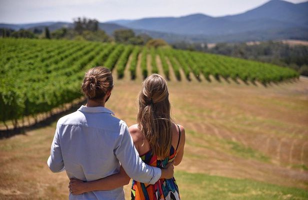 Yarra Valley private tour with Champagne Lunch at Chandon!