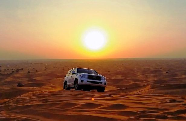 Abu Dhabi Desert Safari 4x4, BBQ Dinner, Camel Ride