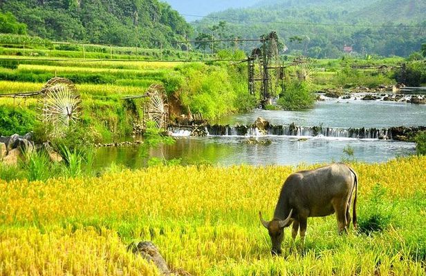 Mai Chau 1 Day Tour From Hanoi