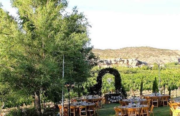 Horse Country Estate and Vineyard Wine Tasting Tour