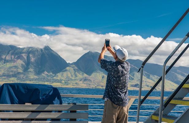 2-Hour Oahu Whale Watch from Ala Wai Harbor, Waikiki