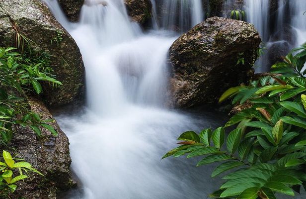 Waterfall, #1 On The Road to Hana, With Chocolate tour Historical