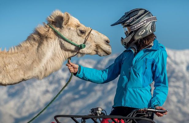 Camel and Quad Biking Tour from Marrakech