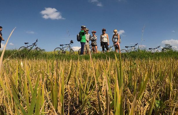 Explore Ubud with Electric Bike
