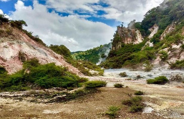 Volcanic Rotorua Day Trip from Auckland
