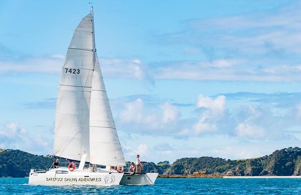 Island Hopper Day Cruise - sailing to wildlife sanctuary island - 6 hr cruise