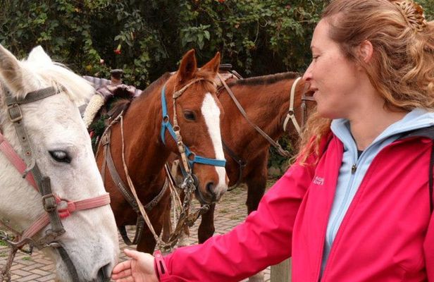 Ecuador Luxury Haciendas 8 Days Tour