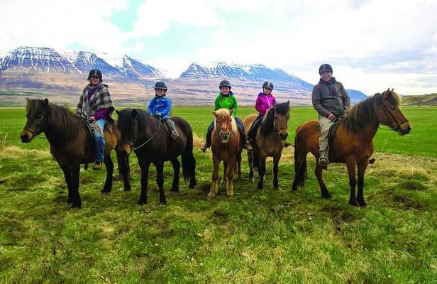 Family Friendly Horse Riding Tour in Skagafjörður