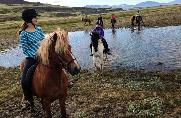 Horse Riding Tour to the Glacier River Delta with Waterfall