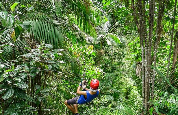 Private Mindo Cloud Forest Adventure