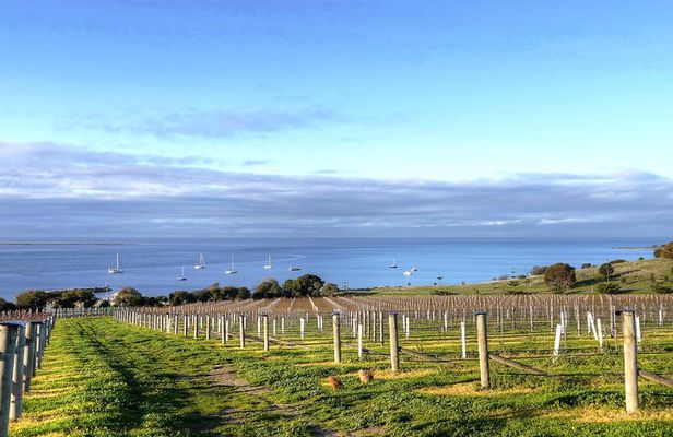 Kangaroo Island Shore Excursion Tasting Tour - For Cruise Ship Passengers Only