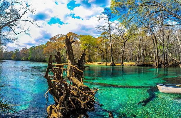 Cypress Springs Eco Adventure