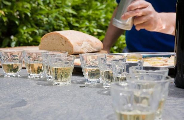 Food and Wine Small Group Tour from Barcelona - Maximum 8 people