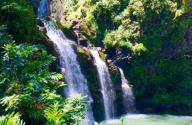 Private Road to Hana Tour