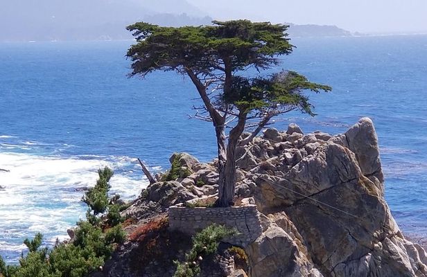 Private Tour to Monterey, Carmel, 17-Mile Drive, Pebble Beach