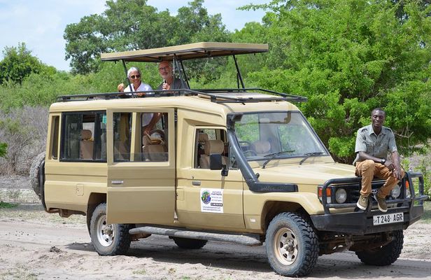 Mikumi National Park From Zanzibar Road Trip 3 Days 2 Nights