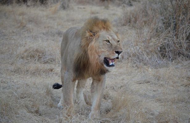 Three Days Ngorongoro crater, Lake Manyara and Taragire National Park (Joining)