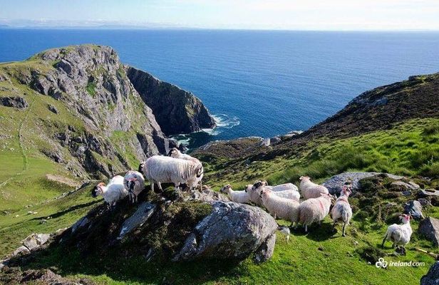 Ring of Kerry & Skellig Ring Private Day Tour