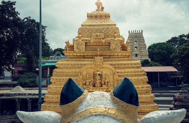 Srisailam Temple full day excursion tour