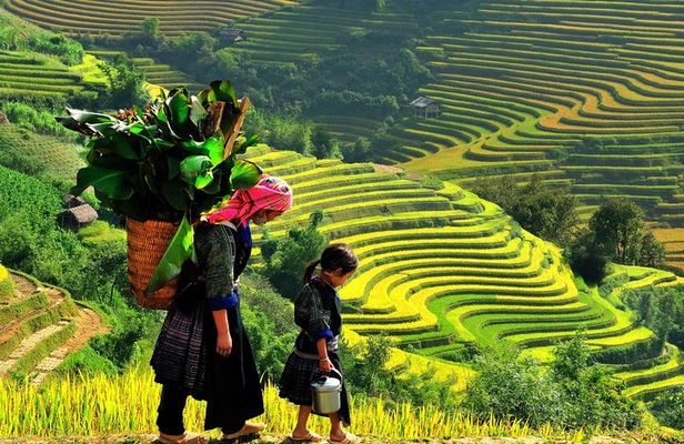 Hanoi to Sapa 2 days 1 night by bus
