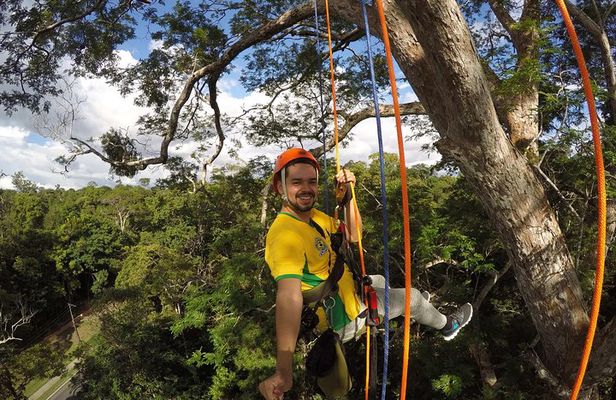 Tree Climbing in the Amazon